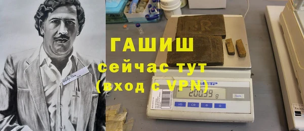 индика Бугульма