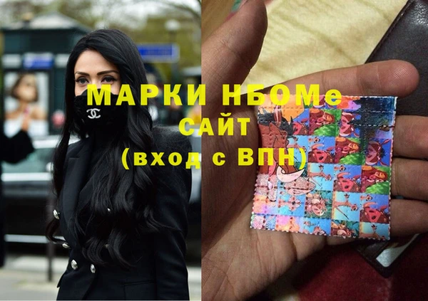 индика Бугульма