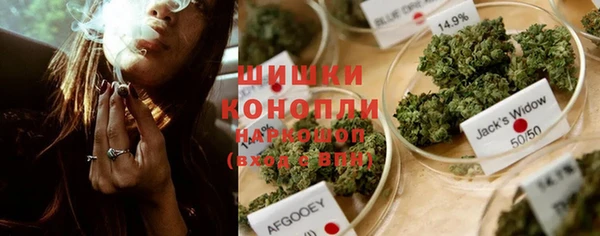 индика Бугульма
