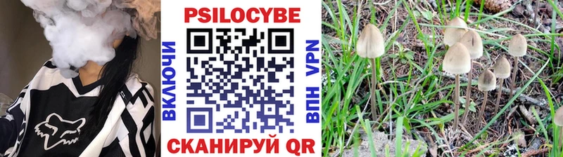 Псилоцибиновые грибы Psilocybe  omg сайт  Тобольск  даркнет сайт 